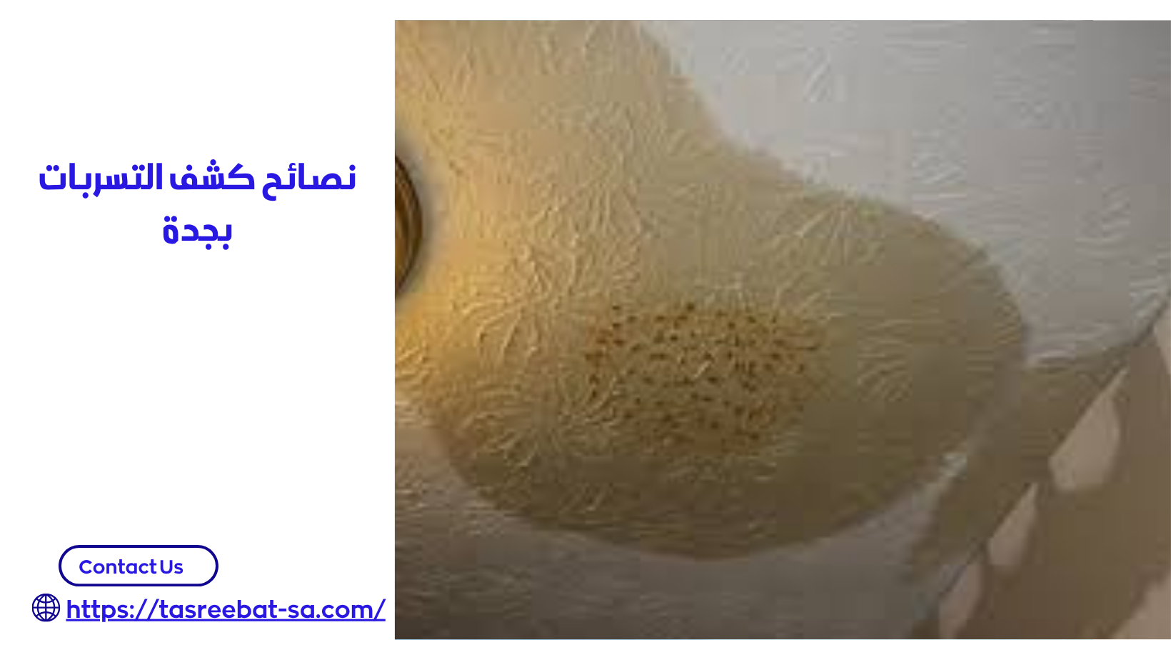 كشف التسربات بجدة