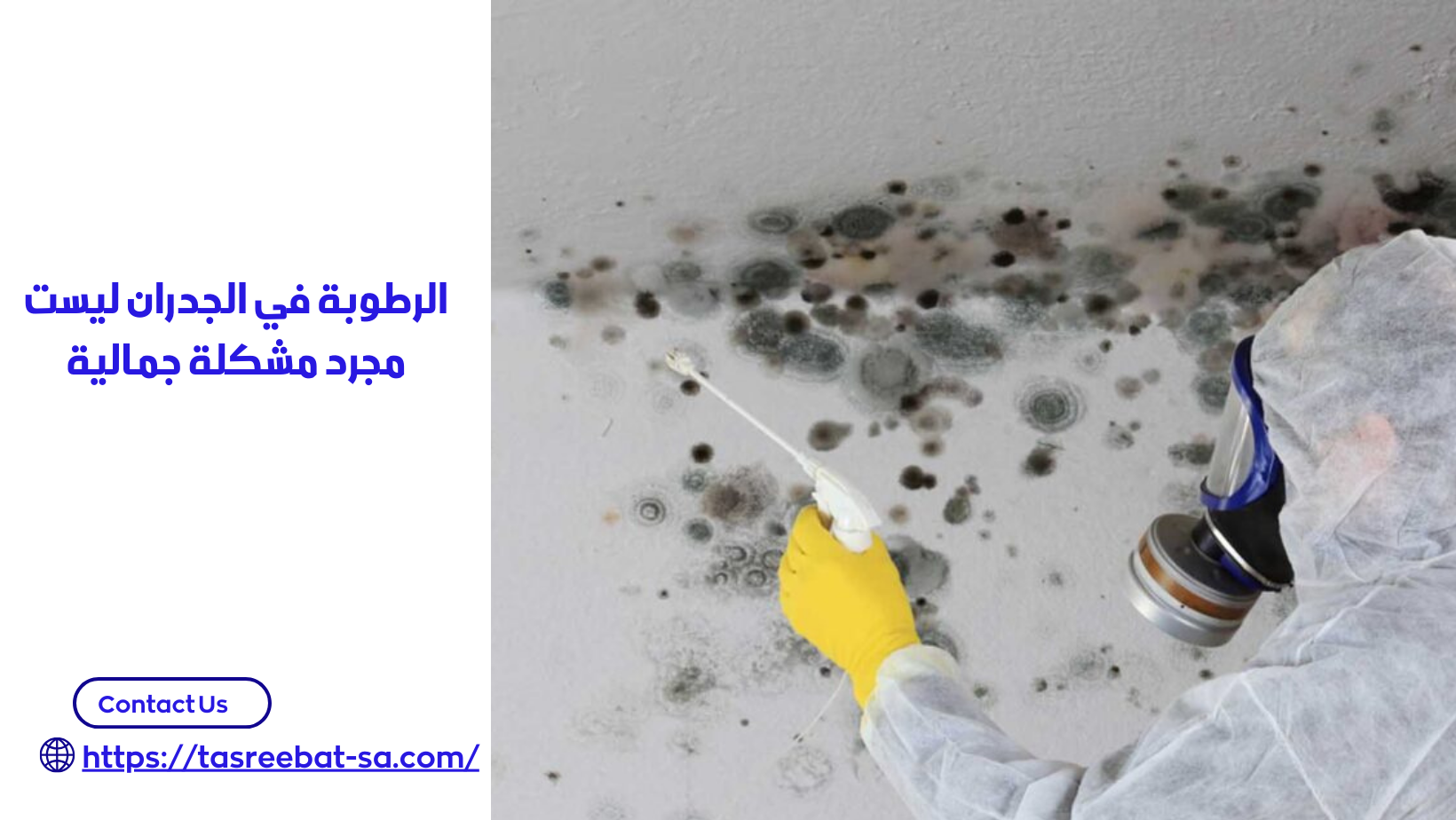 طرق معالجة الرطوبة في الجدران