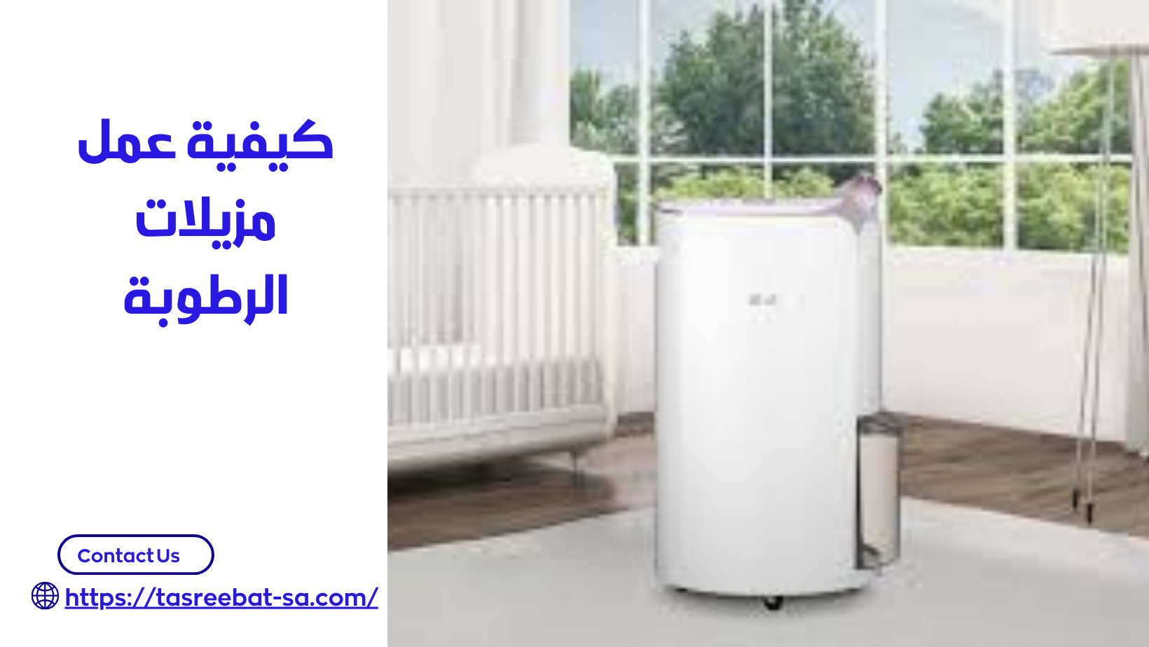 طرق معالجة الرطوبة في الجدران