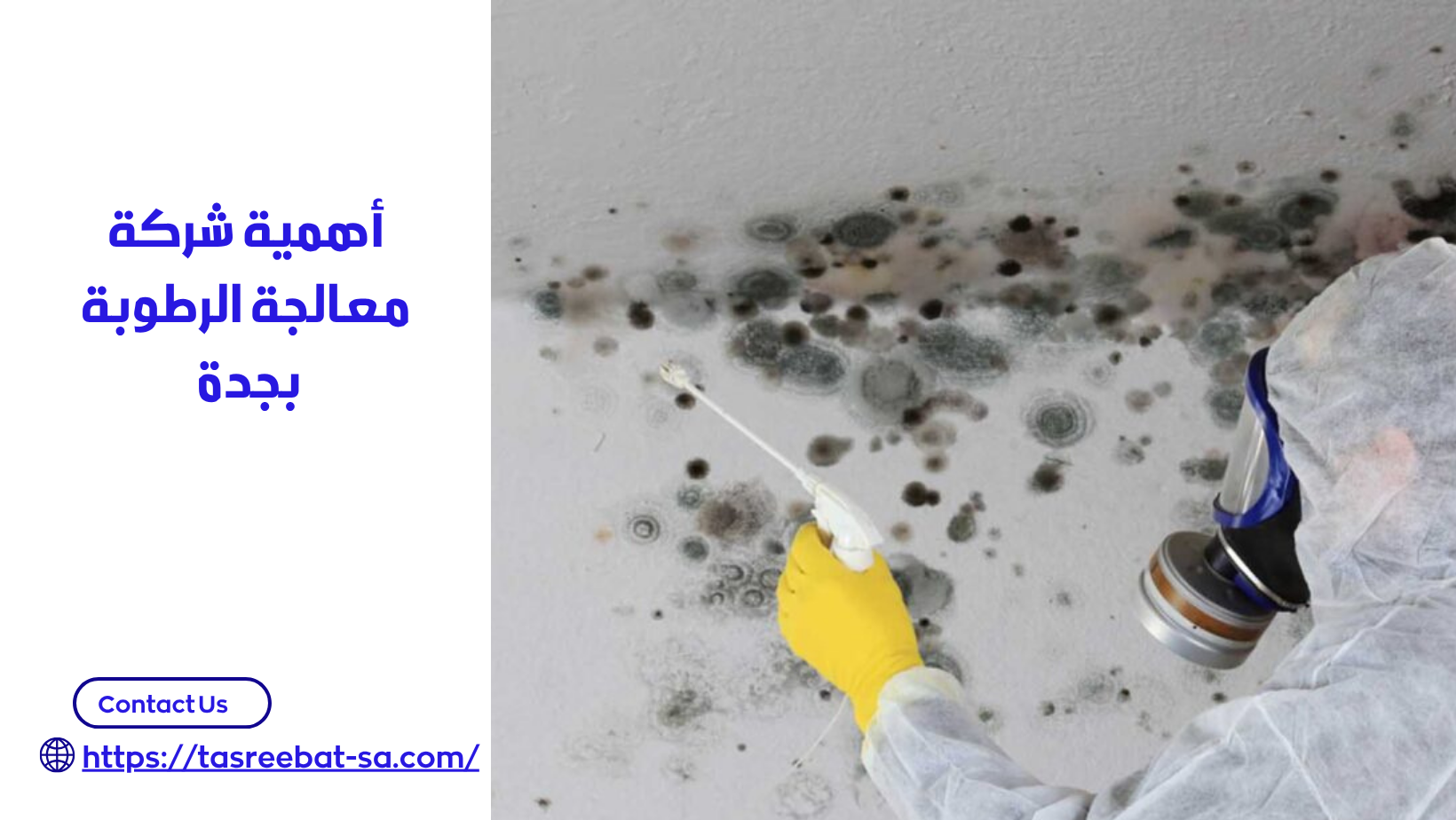 شركة معالجة الرطوبة بجدة 