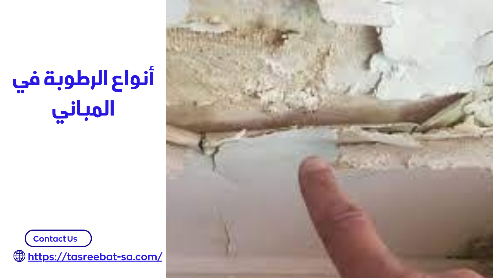 شركة معالجة الرطوبة بجدة 
