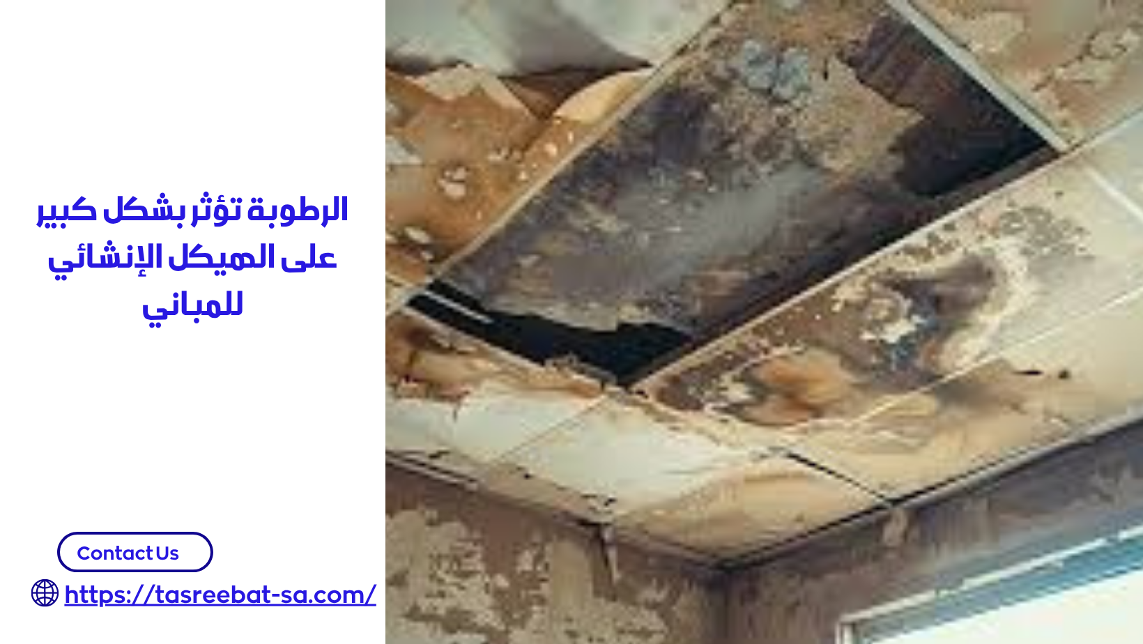 شركة معالجة الرطوبة بجدة 