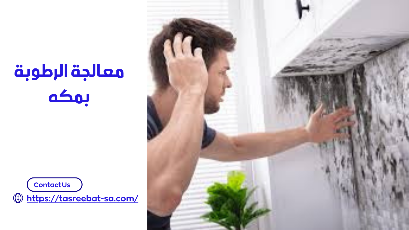 معالجة الرطوبة بمكه