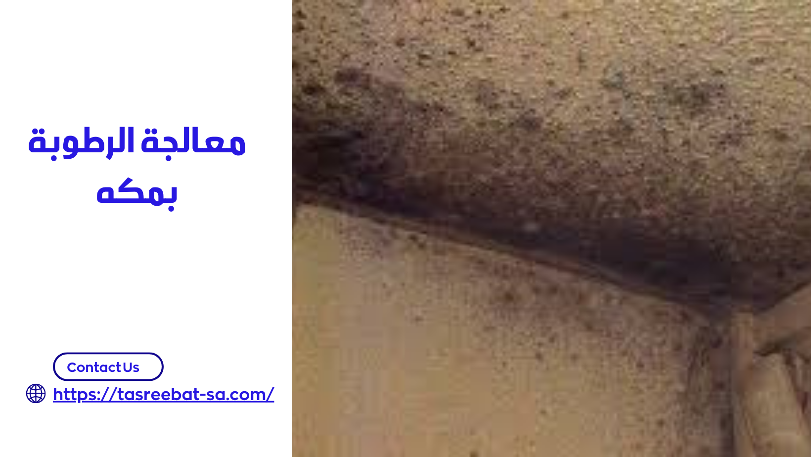 معالجة الرطوبة بمكه