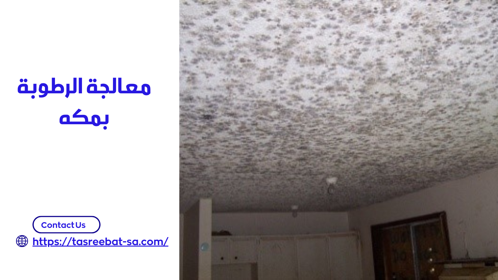 معالجة الرطوبة بمكه