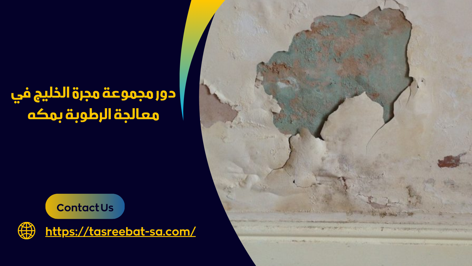 معالجة الرطوبة بمكه