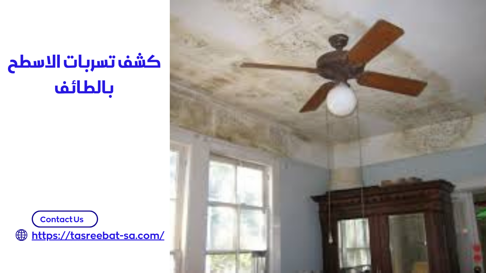 كشف تسربات الاسطح بالطائف