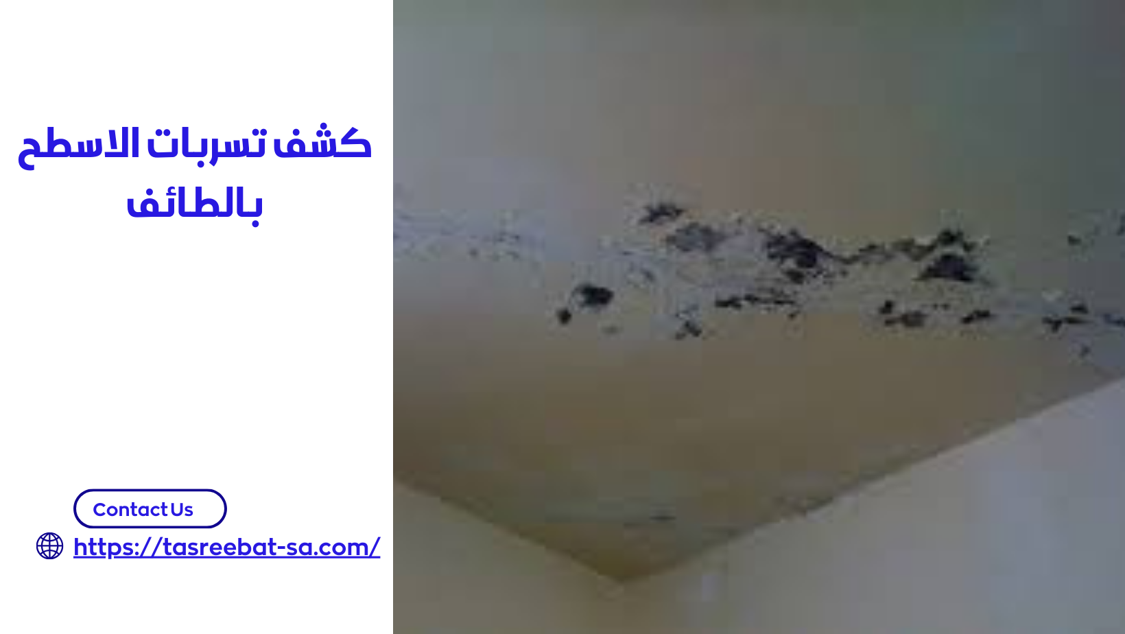 كشف تسربات الاسطح بالطائف