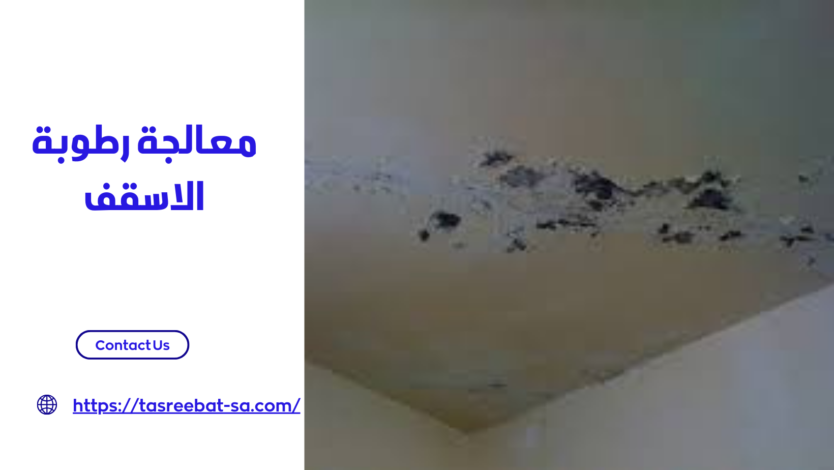 معالجة رطوبة الاسقف
